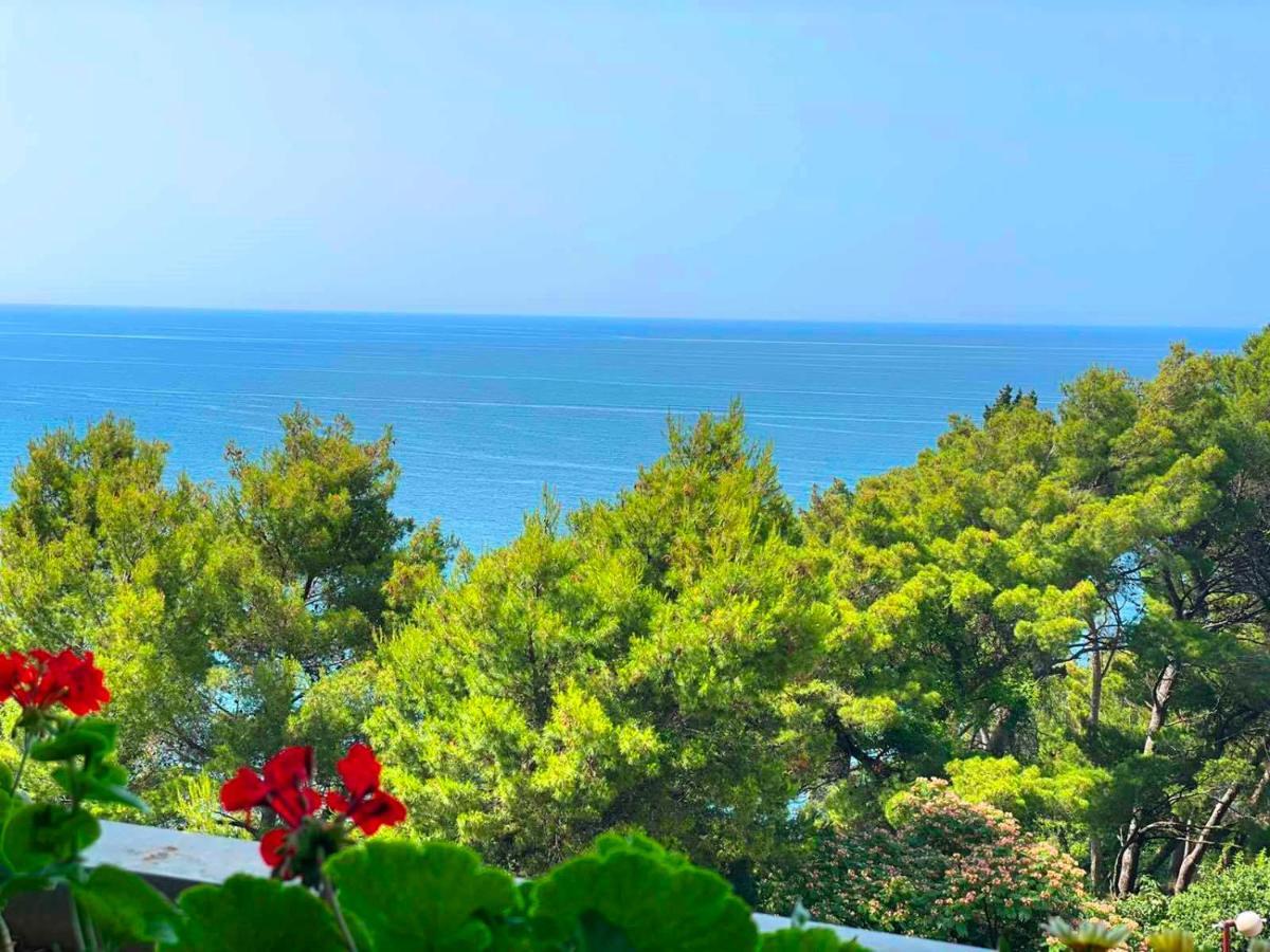 Apartments Lungo Mare Ulcinj Улцинь Экстерьер фото